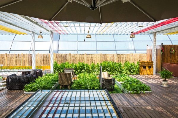 commercial landscaping in singapore for functionality
