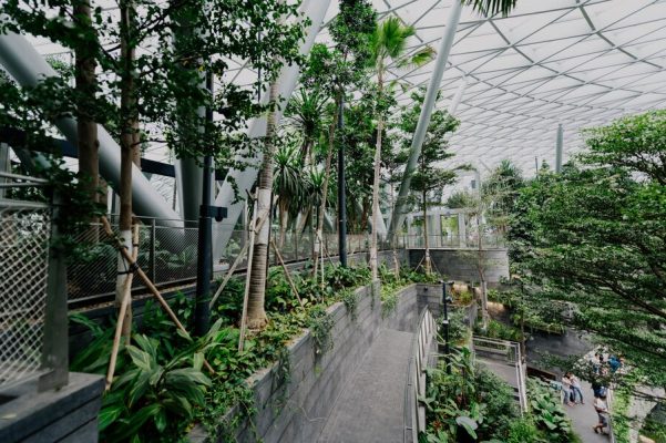 creating functional spaces commercial landscaping