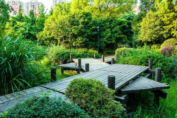 expert landscape contractor singapore decades experience