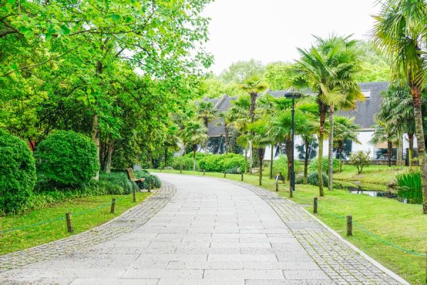 expert tips on selecting a landscape contractor
