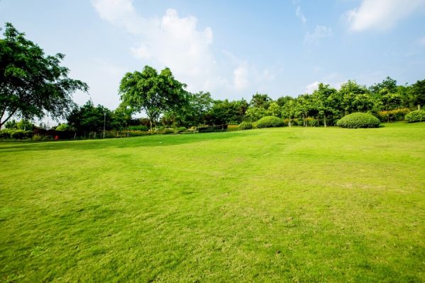 landscaping services singapore innovative outdoor spaces