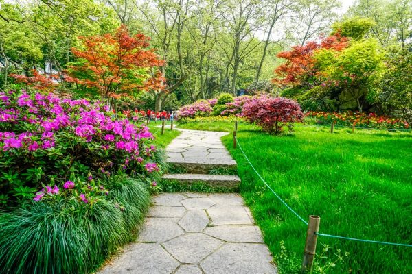 professional landscaping services singapore business