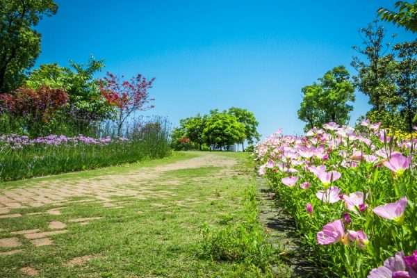 top landscaping companies singapore commercial properties