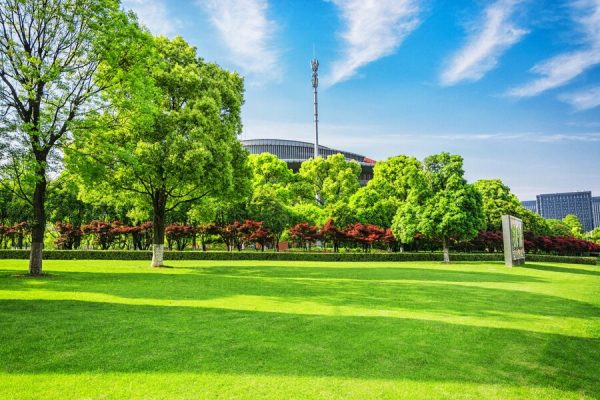 value landscape company commercial spaces singapore