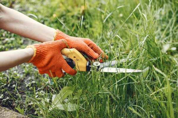 commercial landscaping safety