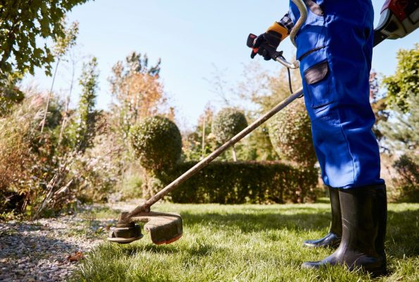 diy vs professional landscaping