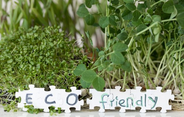 eco friendly garden