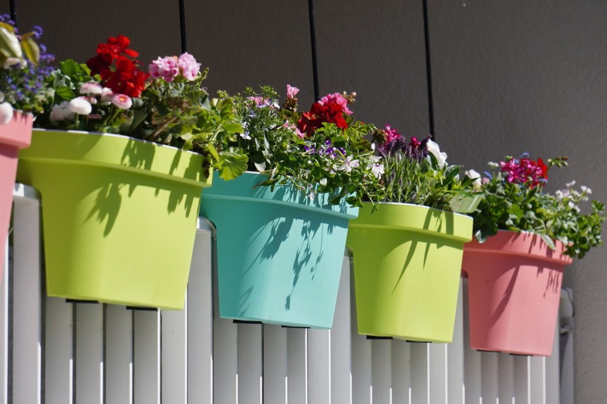 flowers in apartment