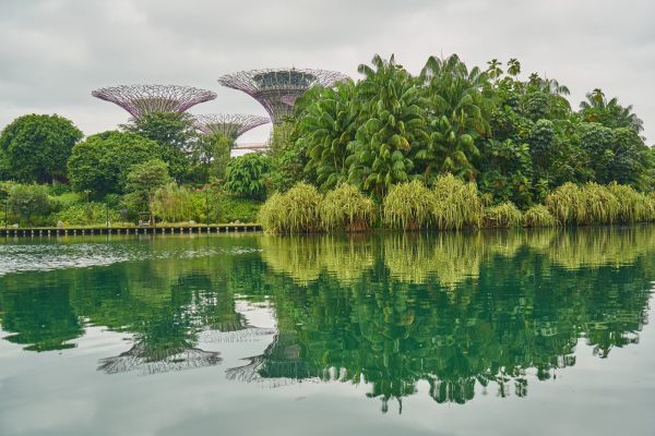future of landscaping in singapore