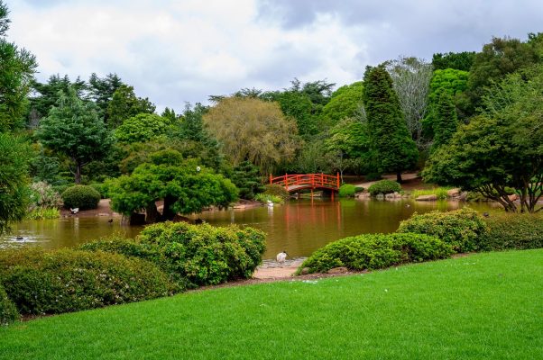 garden landscaping ideas