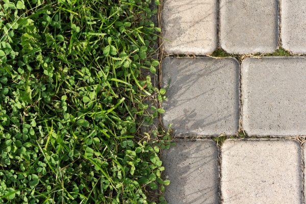 garden paving