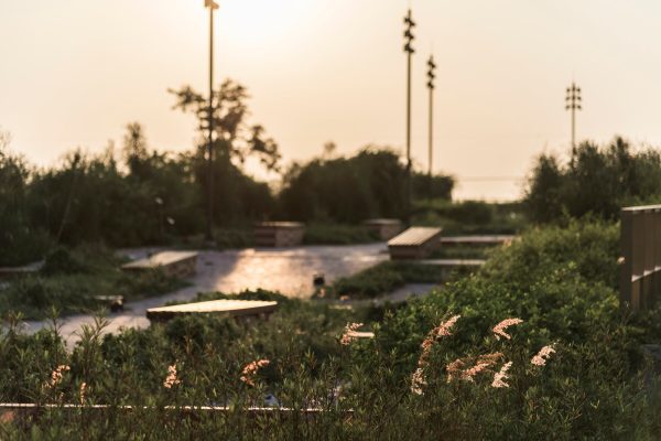 green landscaping benefits businesses