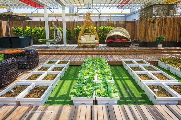 green roof landscaping