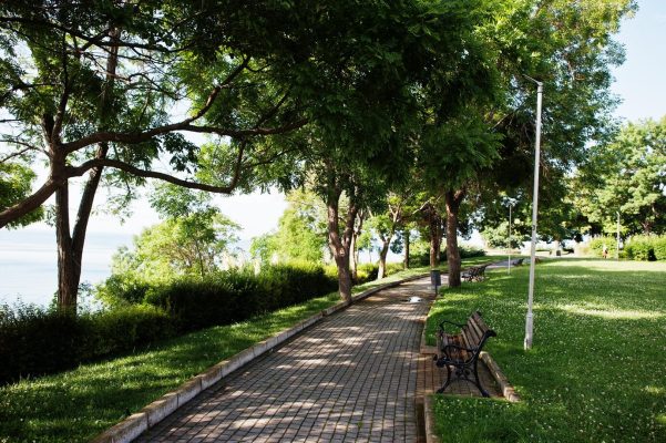 landscaping for public parks
