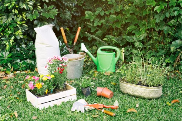 landscaping for small spaces