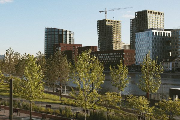 landscaping for sustainable urban development