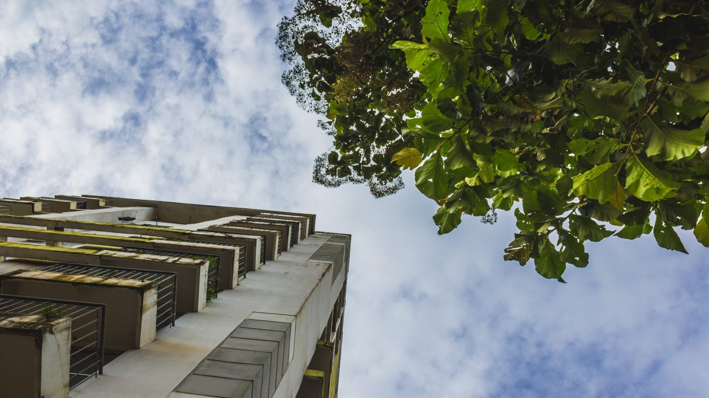 landscaping improve air quality