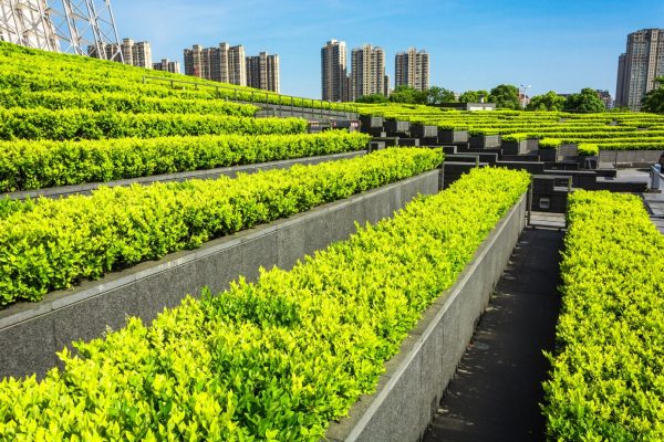 landscaping on urban farming