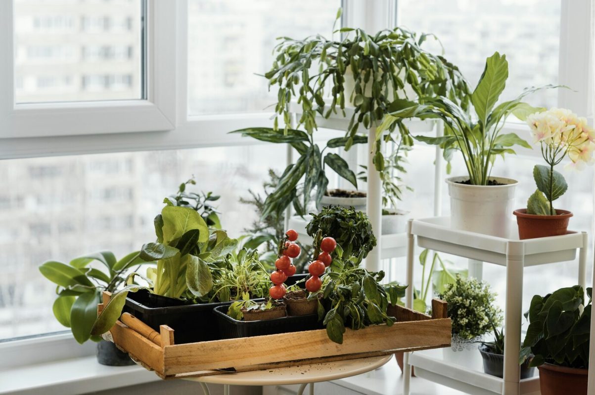 landscaping plants for high-rise buildings