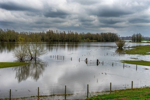 landscaping prevent flooding