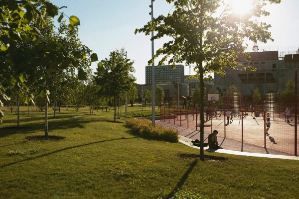 landscaping reduce urban heat