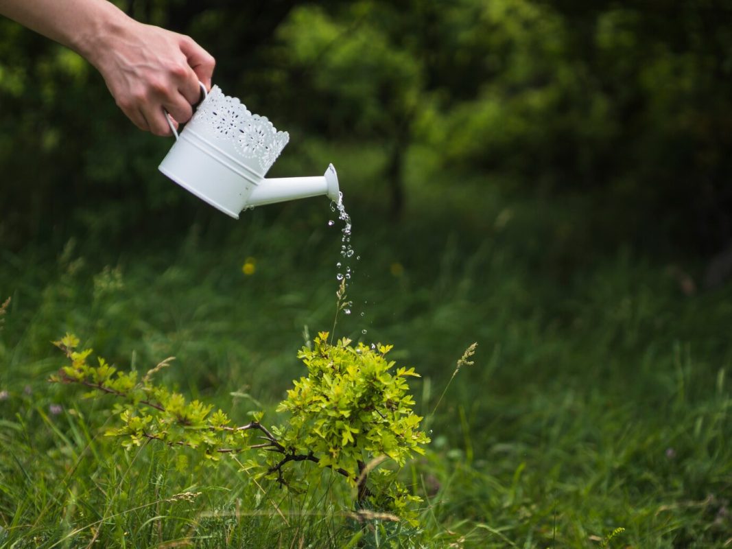 sustainable irrigation