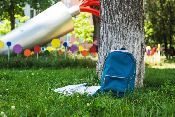 sustainable landscaping for schools