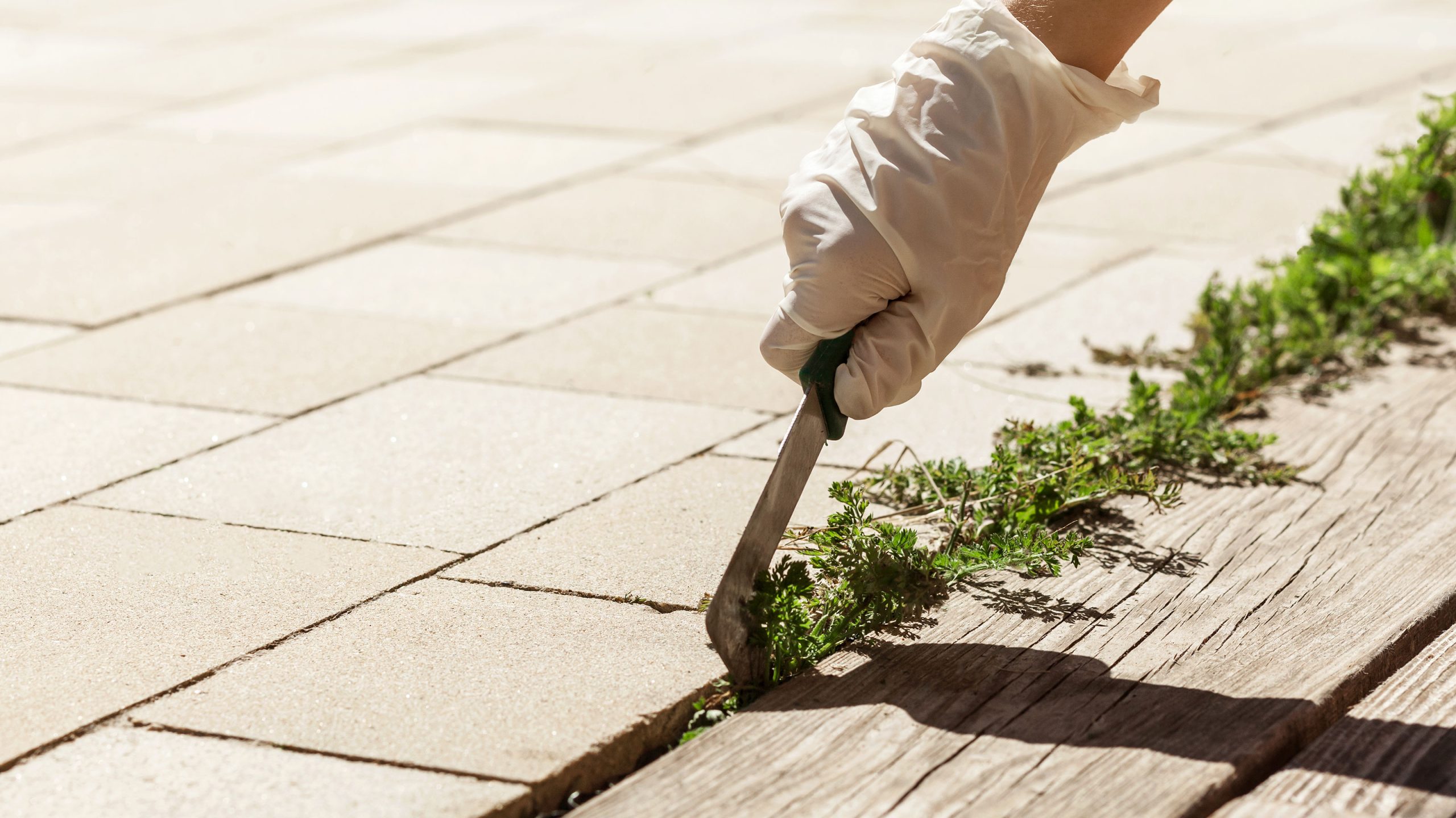 Remove existing grass and weeds