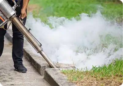 Pest Control Services