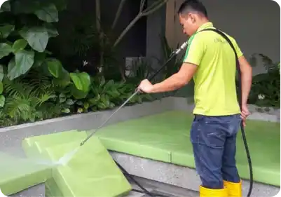 Professional Cleaning Services