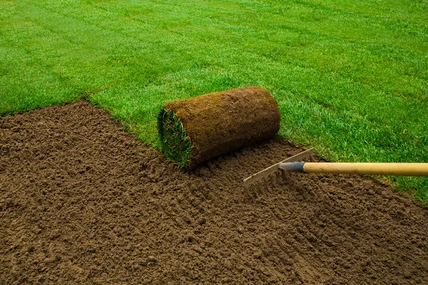grass-turfing