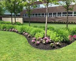 landscaping garden