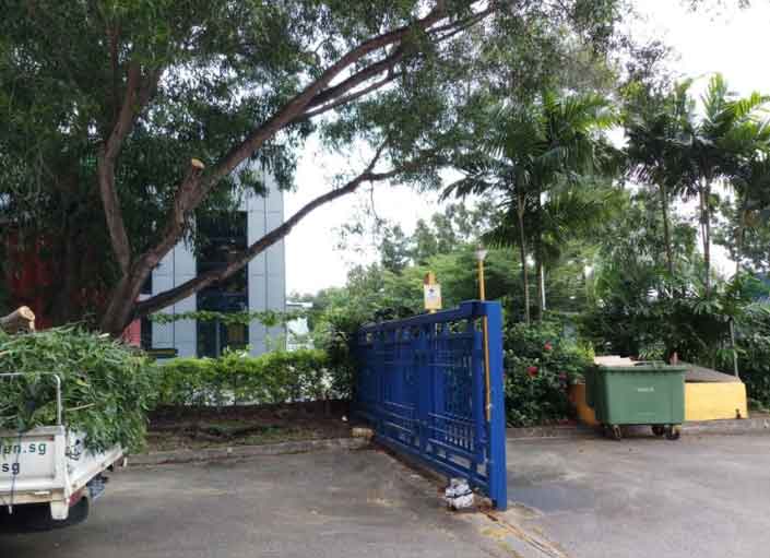 treecut2 a